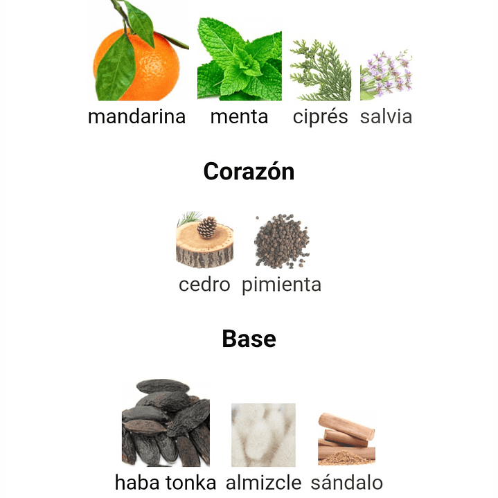 Alpine Homme Sport de Maison Alhambra 100 ml 3