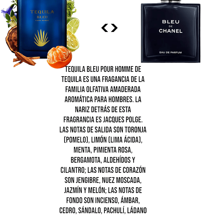 Tequila Bleu Pour Homme BHARARA 100 ml 2