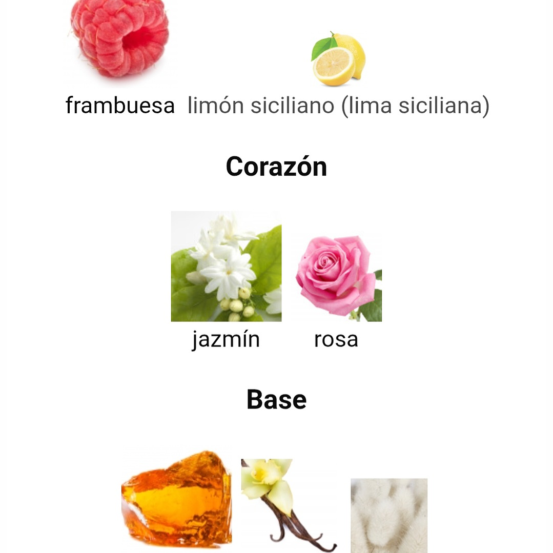 Philos Rosso de Maison Alhambra 3