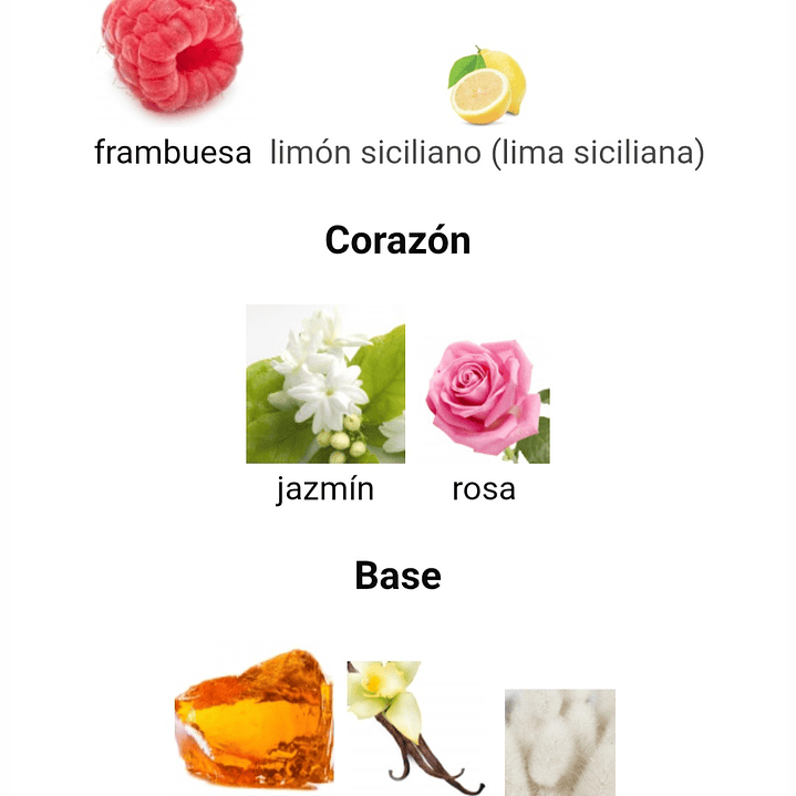 Philos Rosso de Maison Alhambra 3