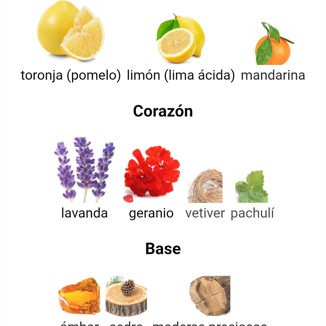 Ventana Pour Homme de Armaf  3