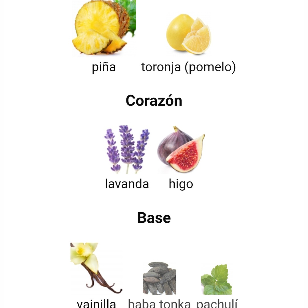 Shaheen Gold de Lattafa 3