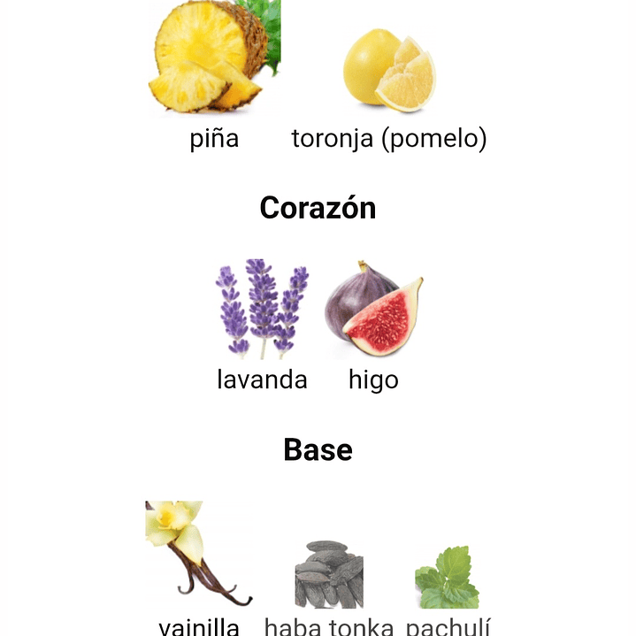 Shaheen Gold de Lattafa 3