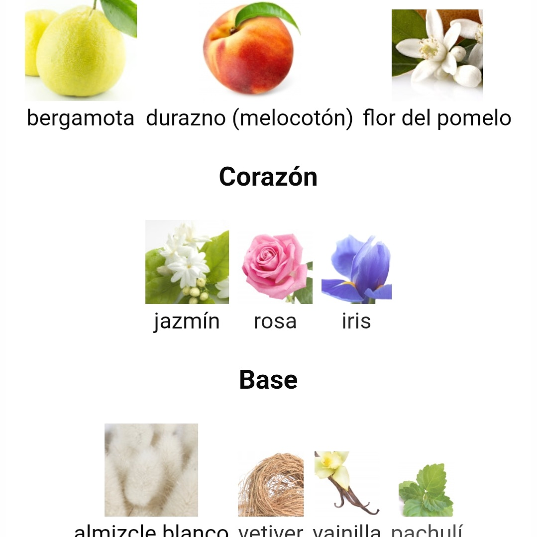 Chants Tenderina de Maison Alhambra 100 ml 3