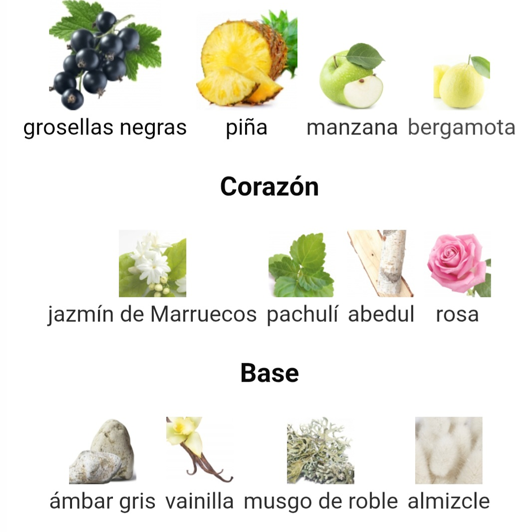 Masculin Leather de Riiffs 100 ml 3