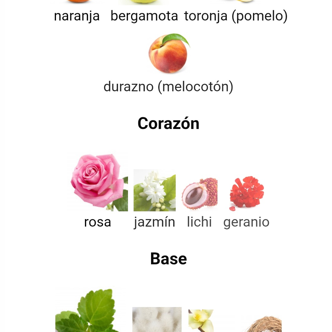 Club de Nuit Woman de Armaf 100 ml 3