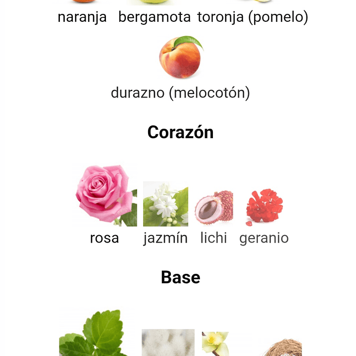 Club de Nuit Woman de Armaf 100 ml 3