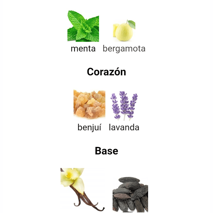 Rayhaan Elixir de Rayhaanes 3