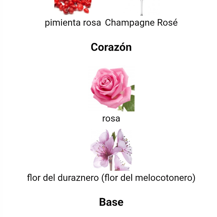 Rose Seduction Vip Pour Femme 100 ml 3