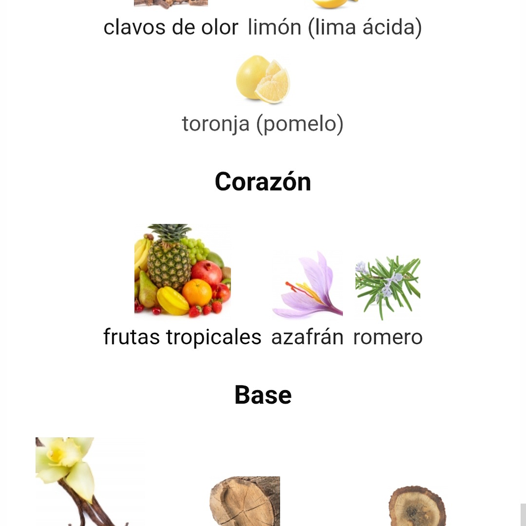 Amalia de Risala  100 ml 3