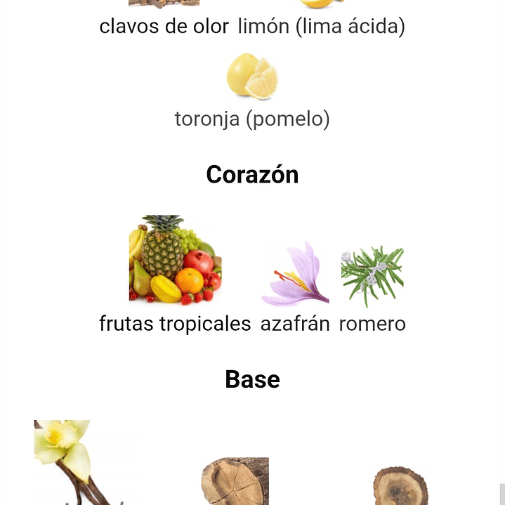 Amalia de Risala  100 ml 3