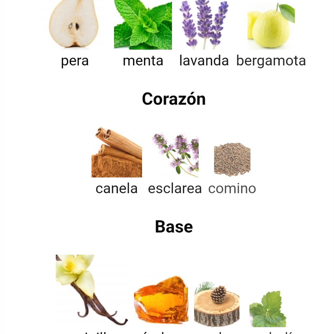 Lion de Rayhaan 100 ml 3