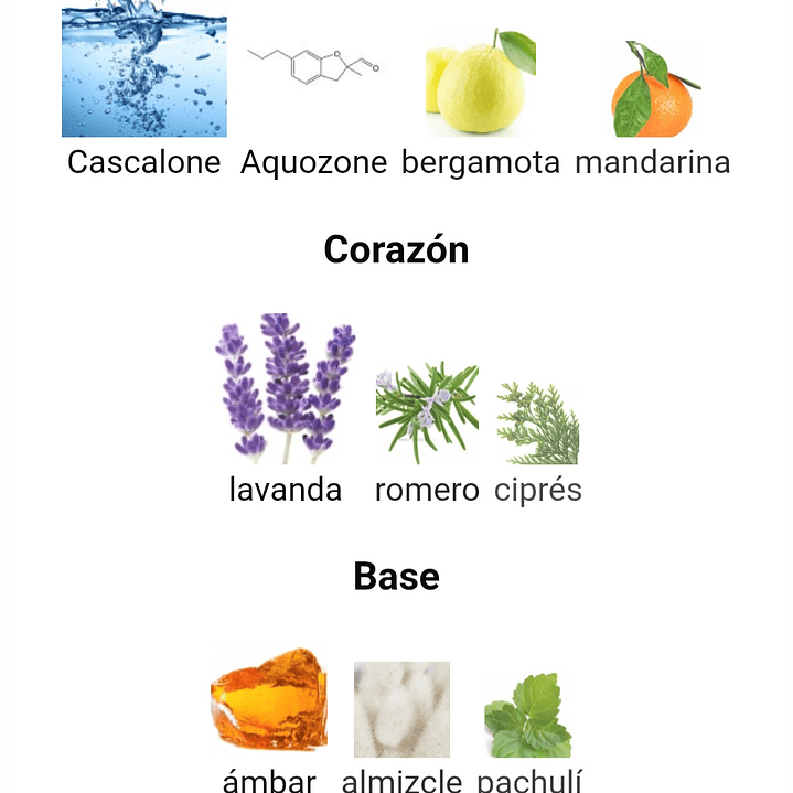 Ocean Rush de Rayhaan 100 ml 3