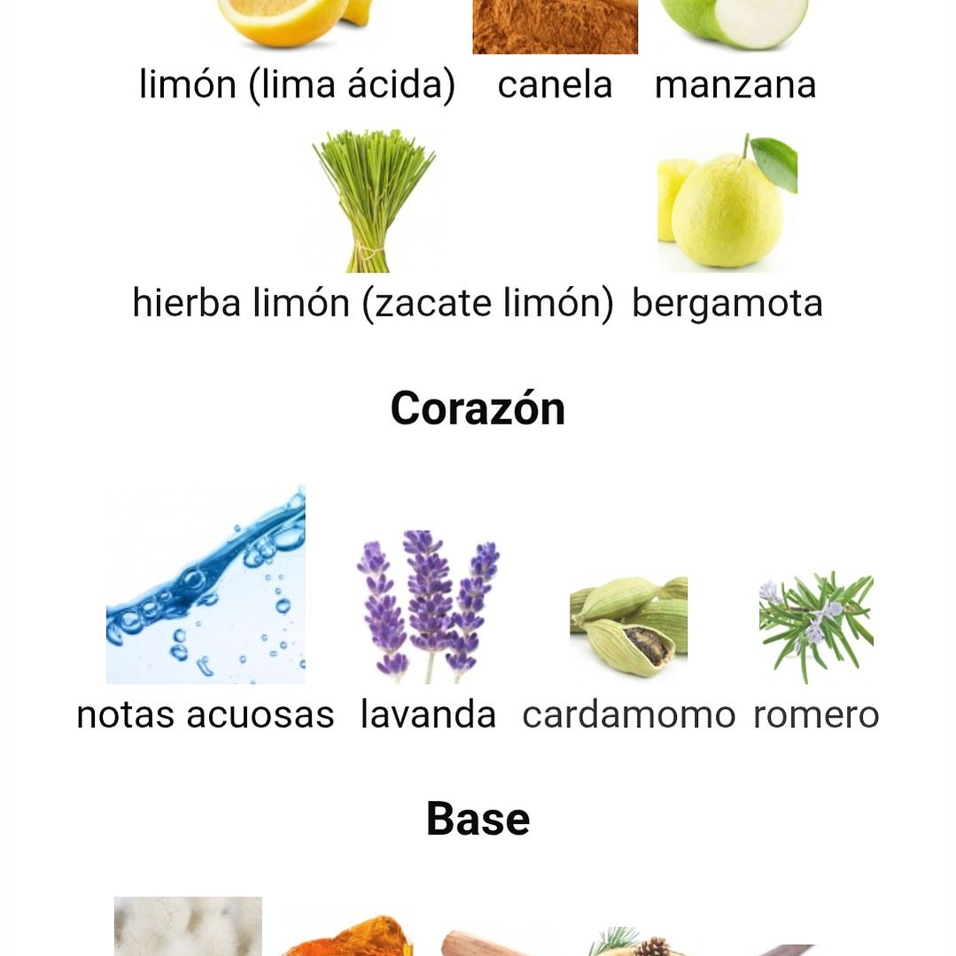 Najdia de Lattafa 100 ml 3