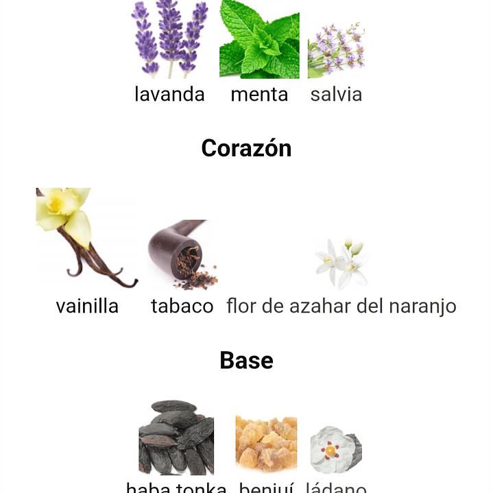 The Kingdom de Lattafa 100 ml 3