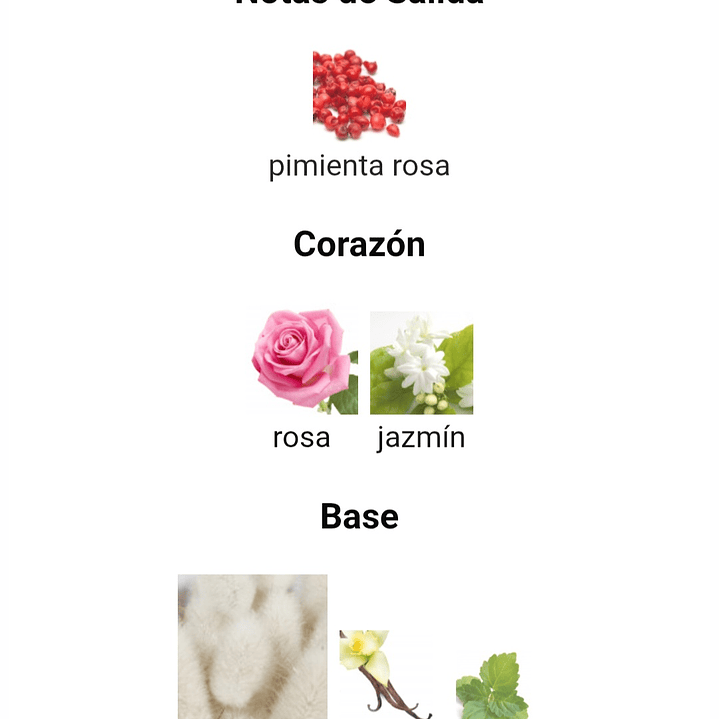 Winners Trophy Gold de Lattafa 3