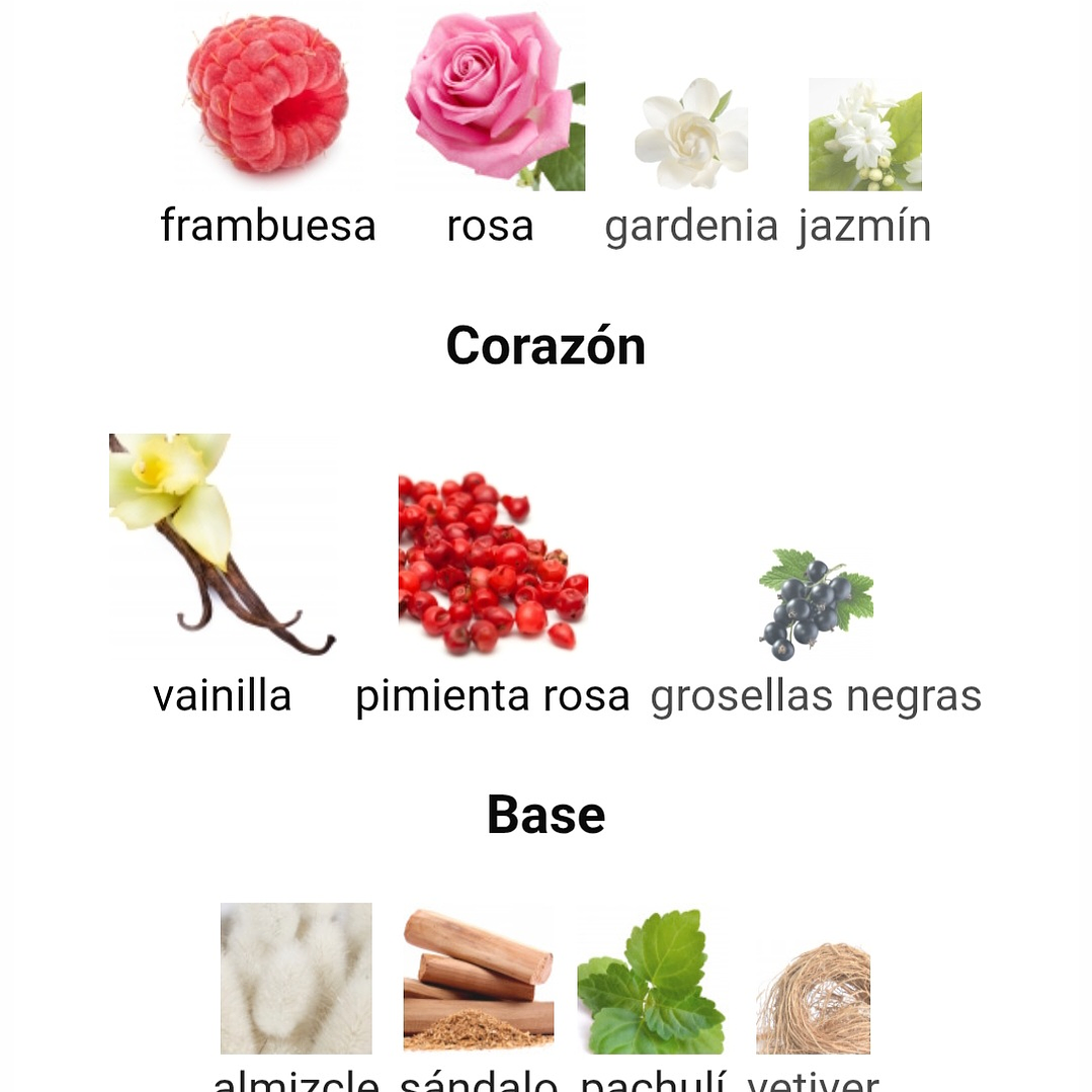 Venice de Armaf 100 ml 3