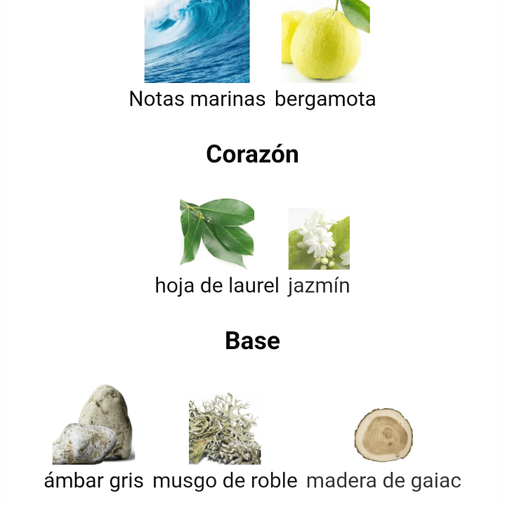 Victorioso de Maison Alhambra 3