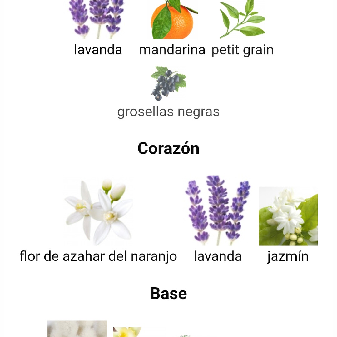 Léonie de Maison Alhambra 3