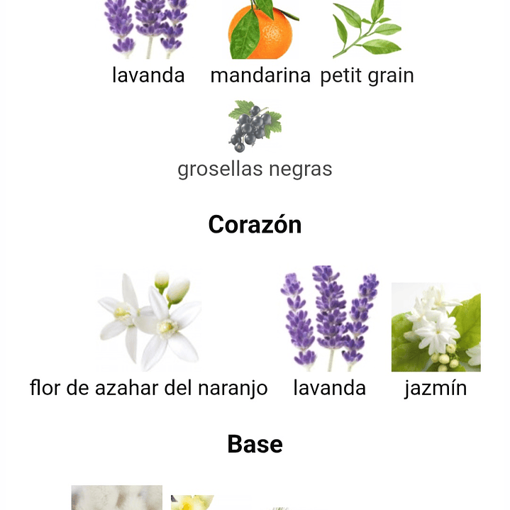 Léonie de Maison Alhambra 3