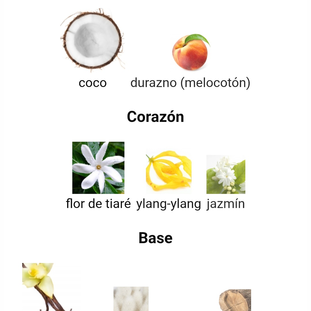 Montaigne Coco de Maison Alhambra 3