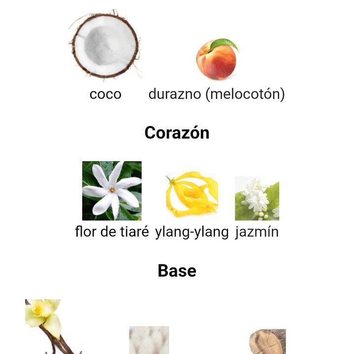 Montaigne Coco de Maison Alhambra 3