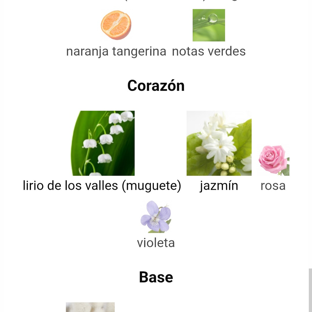 Niche Royal Vert de Maison Alhambra 3