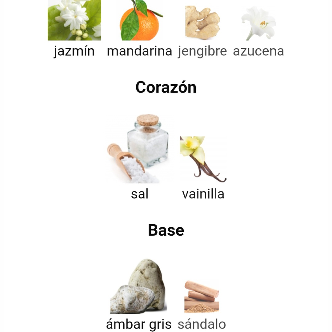 Ophylia Edp 50ml Mujer fragrance world  3