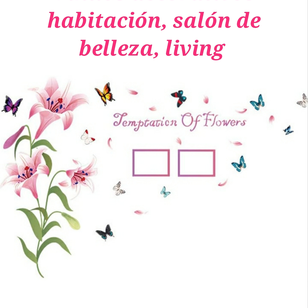 Vinilos o stickers  1