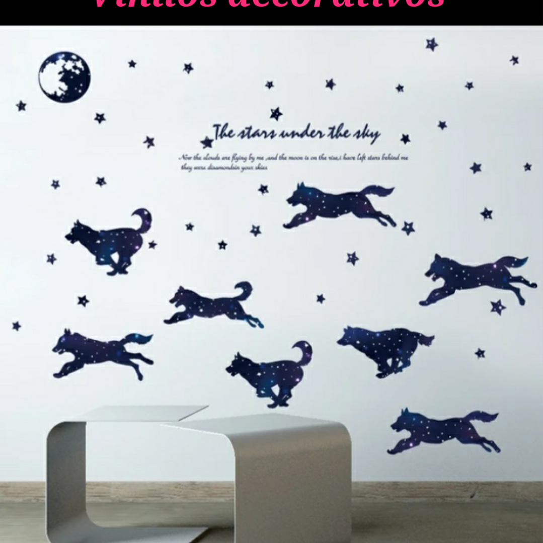 Vinilos o stickers  1