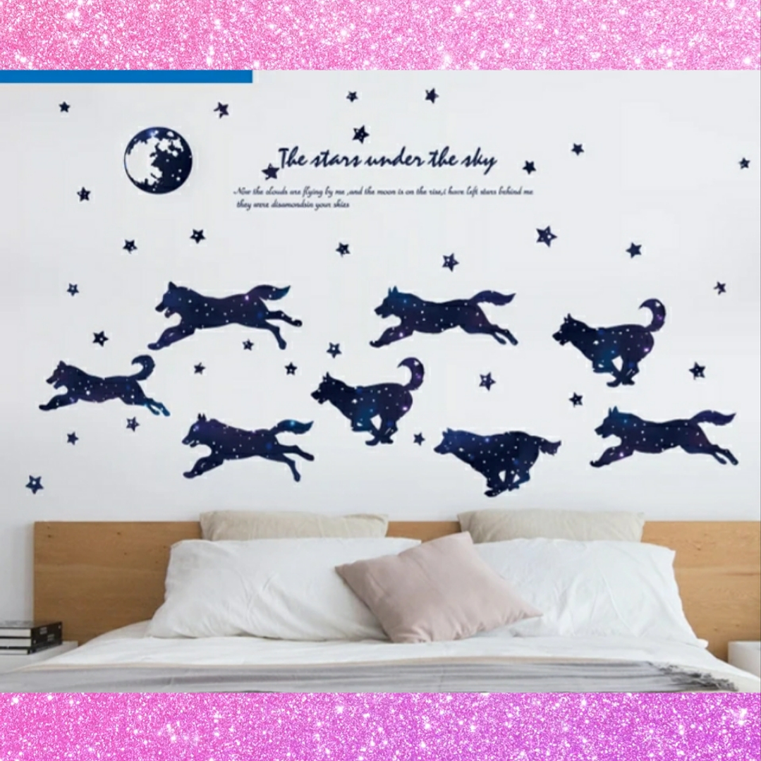 Vinilos o stickers  2