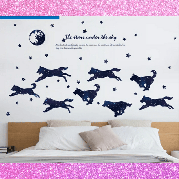 Vinilos o stickers  2