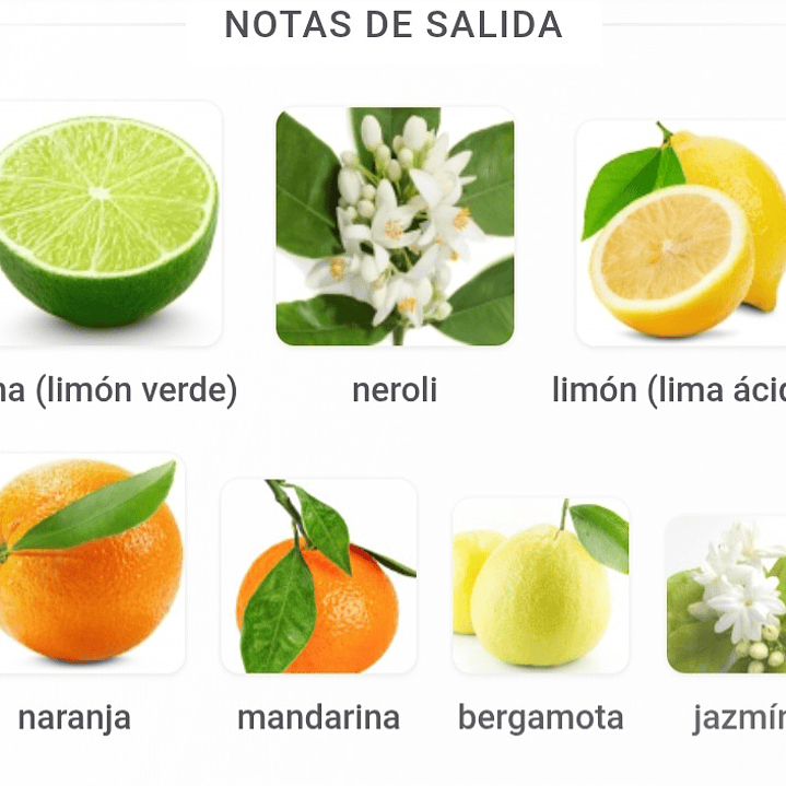 Jorge Di Profumo Aqua Eau de parfum 2