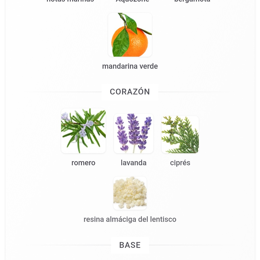 Jorge di Profumo Deep Blue EDP 100ML Hombre 2