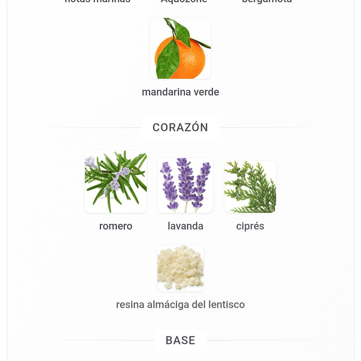 Jorge di Profumo Deep Blue EDP 100ML Hombre 2