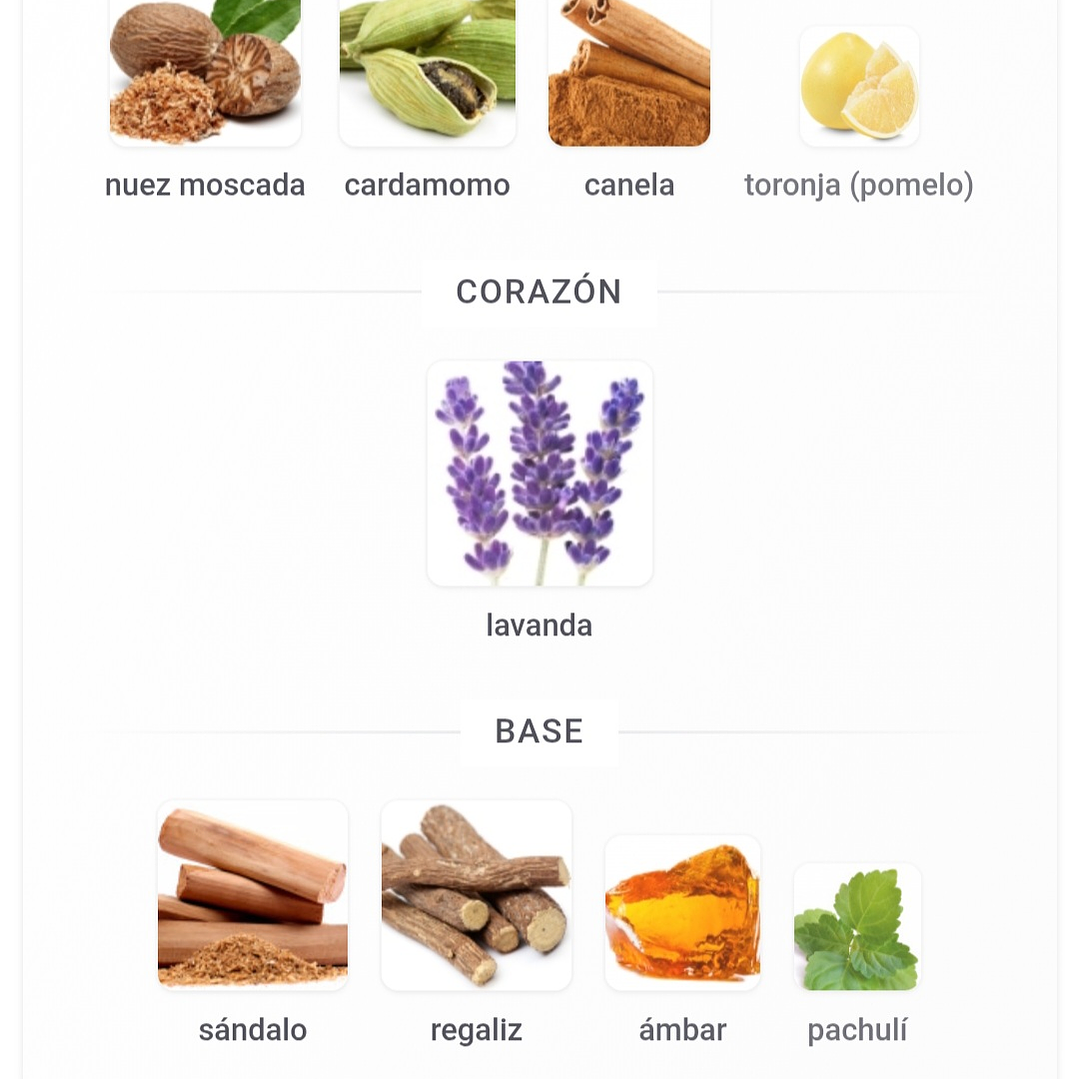 Just Aswad Fragrance World 3