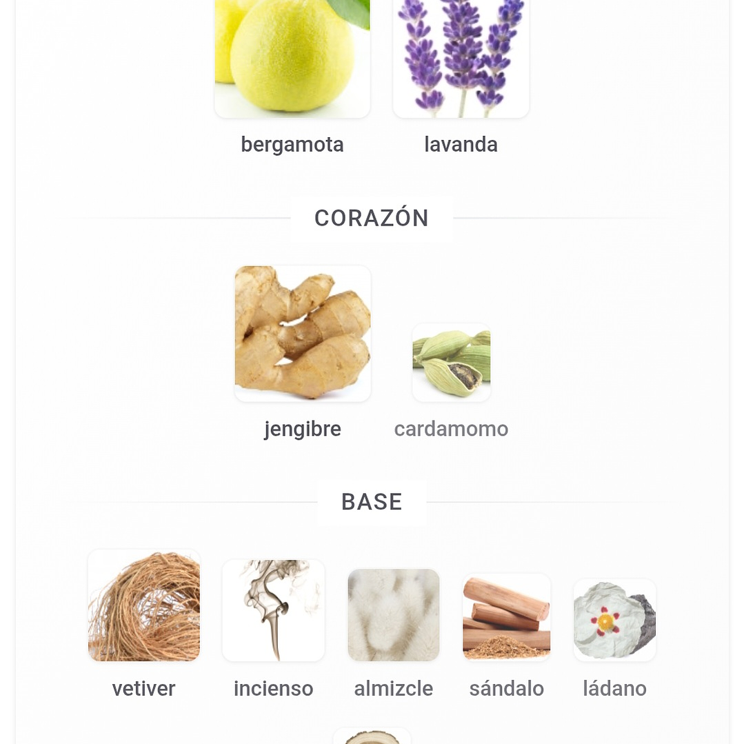 No. 2 Men Maison Alhambra para Hombres 4