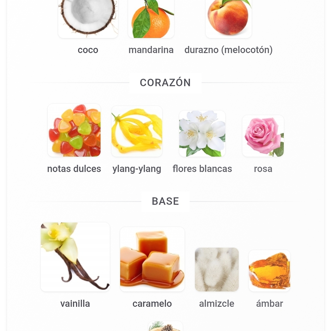 Just Wardi de Fragrance World Edp 100ml Mujer 3