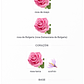 Rose Petals 80 ml - Miniatura 3