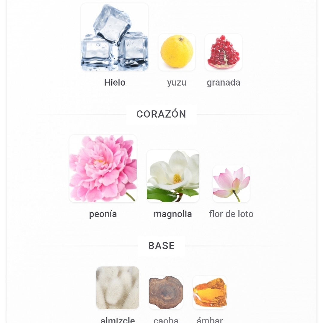 Versencia Crystal de Maison Alhambra 1