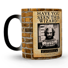 Tazón Mágico Harry Potter Have You Seen This Wizard? 320ml 5