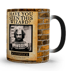 Tazón Mágico Harry Potter Have You Seen This Wizard? 320ml 6