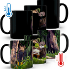 Tazón Mágico Shrek 1