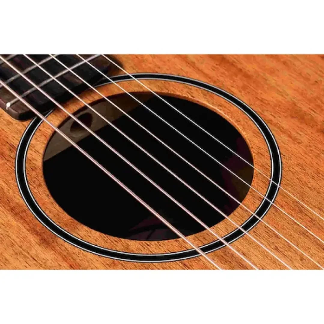 Taylor BT2 Guitarra Acústica Baby Caoba 2