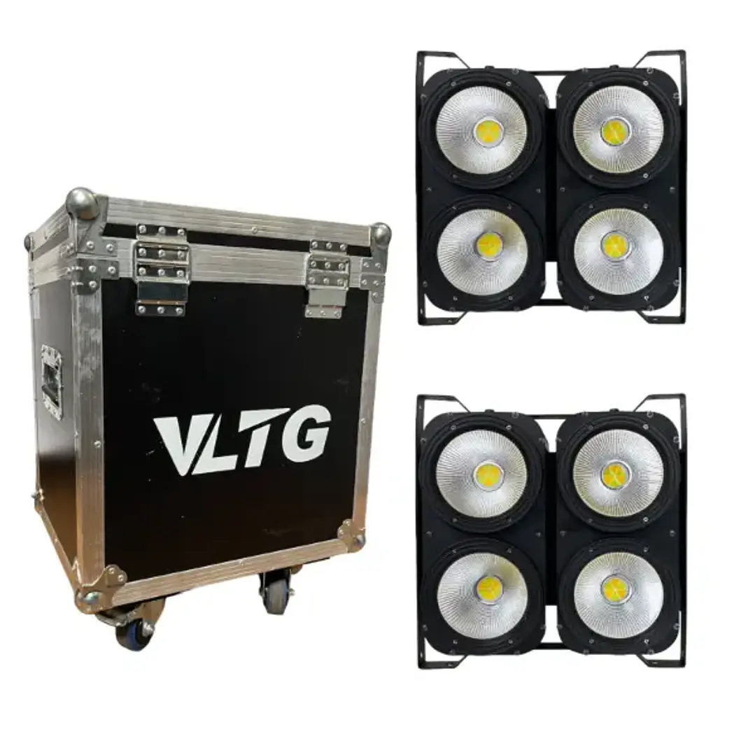 VLTG Kit 2 Mini Brut 400W (4X100W) + Case 1