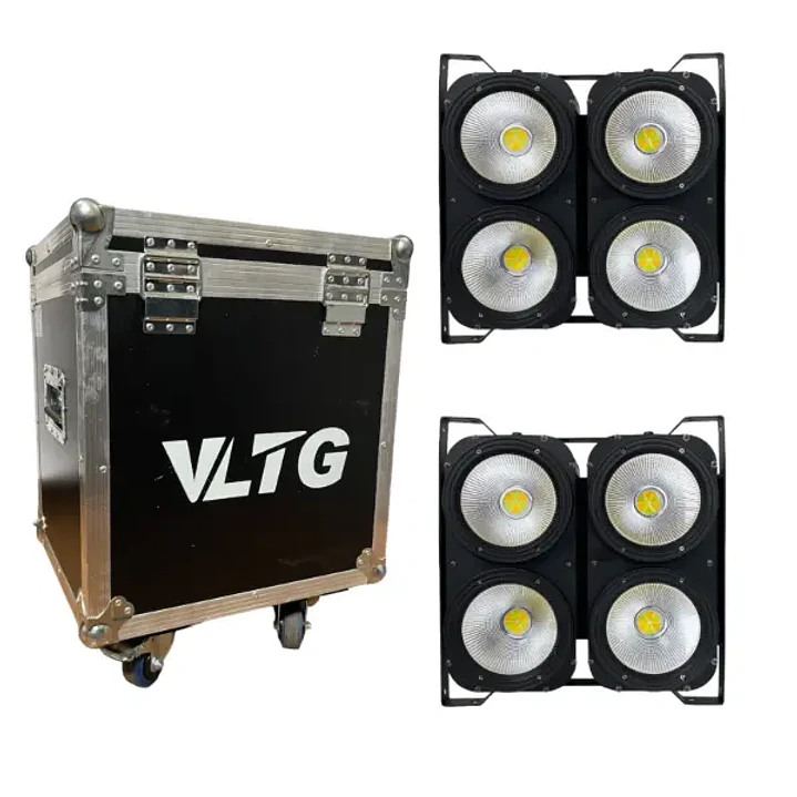 VLTG Kit 2 Mini Brut 400W (4X100W) + Case 1