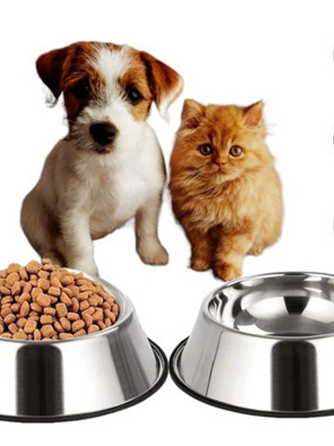 Comedero Meru Portátil Acero Inoxidable Antideslizante 12cm Metalico 4