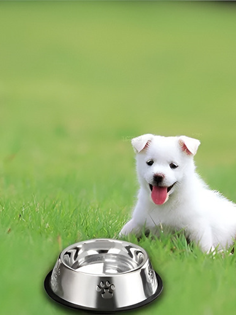 Comedero Meru Portátil Acero Inoxidable Antideslizante 12cm Metalico 9