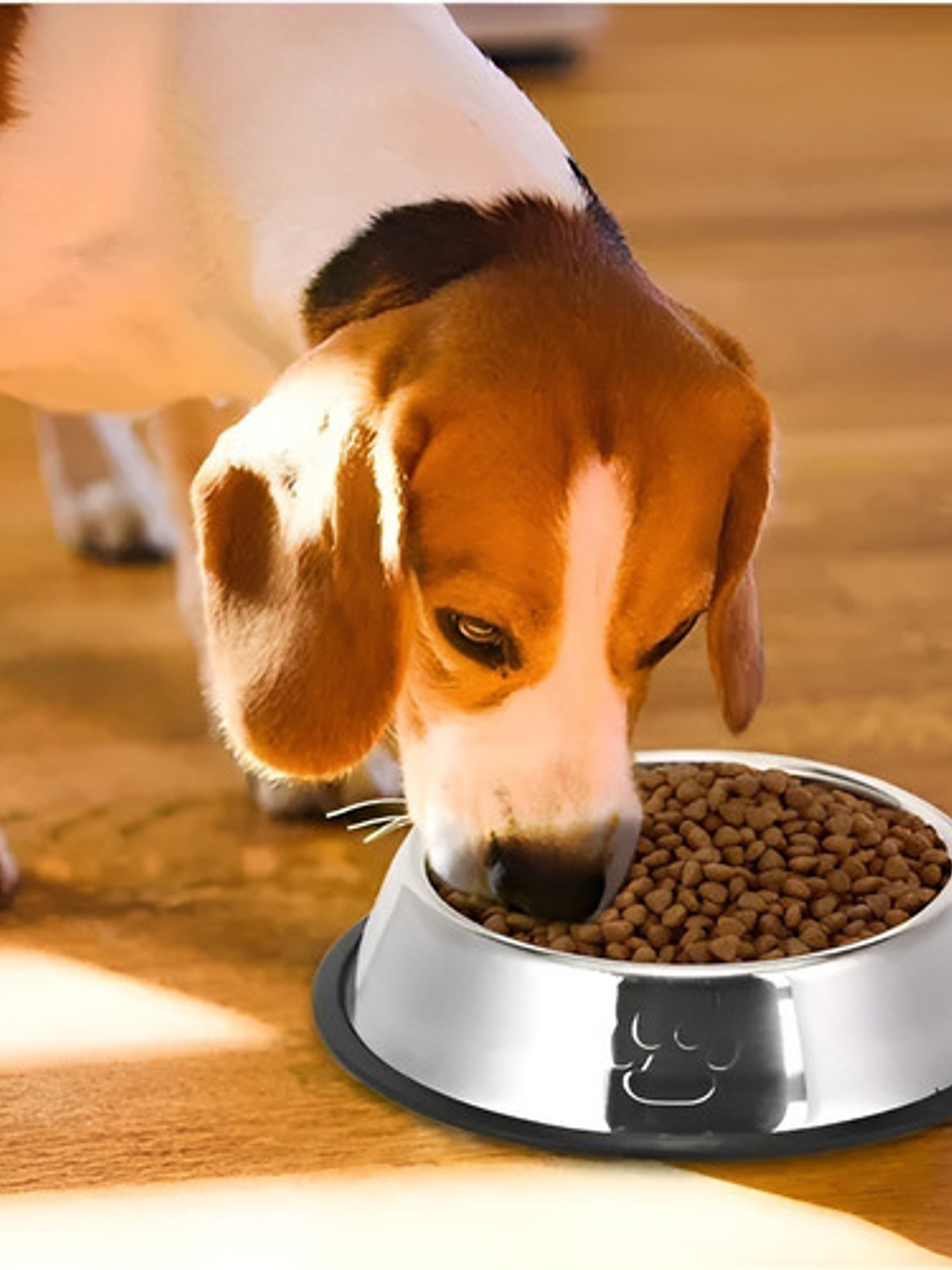 Comedero Meru Portátil Acero Inoxidable Antideslizante 12cm Metalico 10