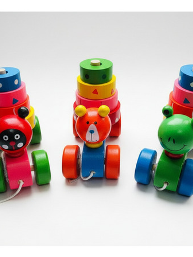 Juguete De Arrastre De Madera Diseñados Para La Estimulación 10